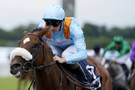 French connection: The Platinum Queen runs in the Group 1  Prix l'Abbaye on Sunday.