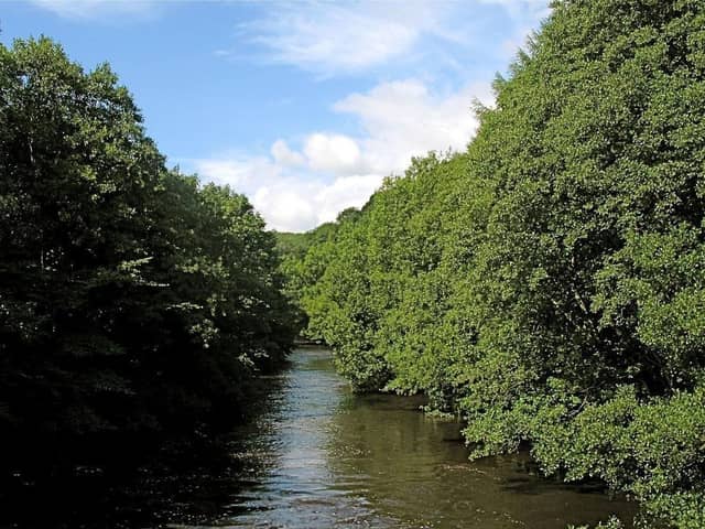 Recent testing of water pollution in the River Nidd has shown the harmful bacteria E. coli is at ‘concerningly high’ levels
