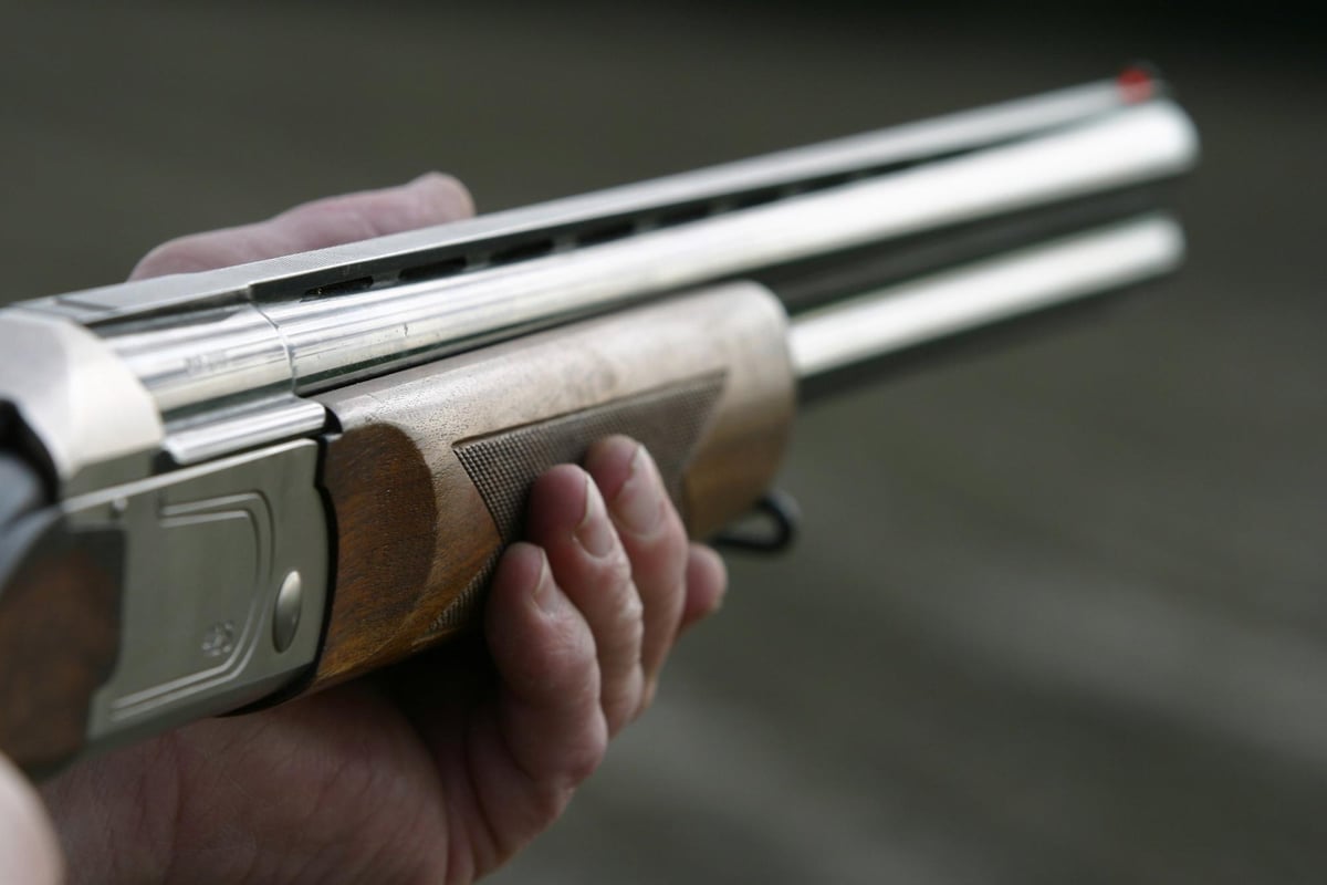 Plan to tighten rules on gun ownership revealed