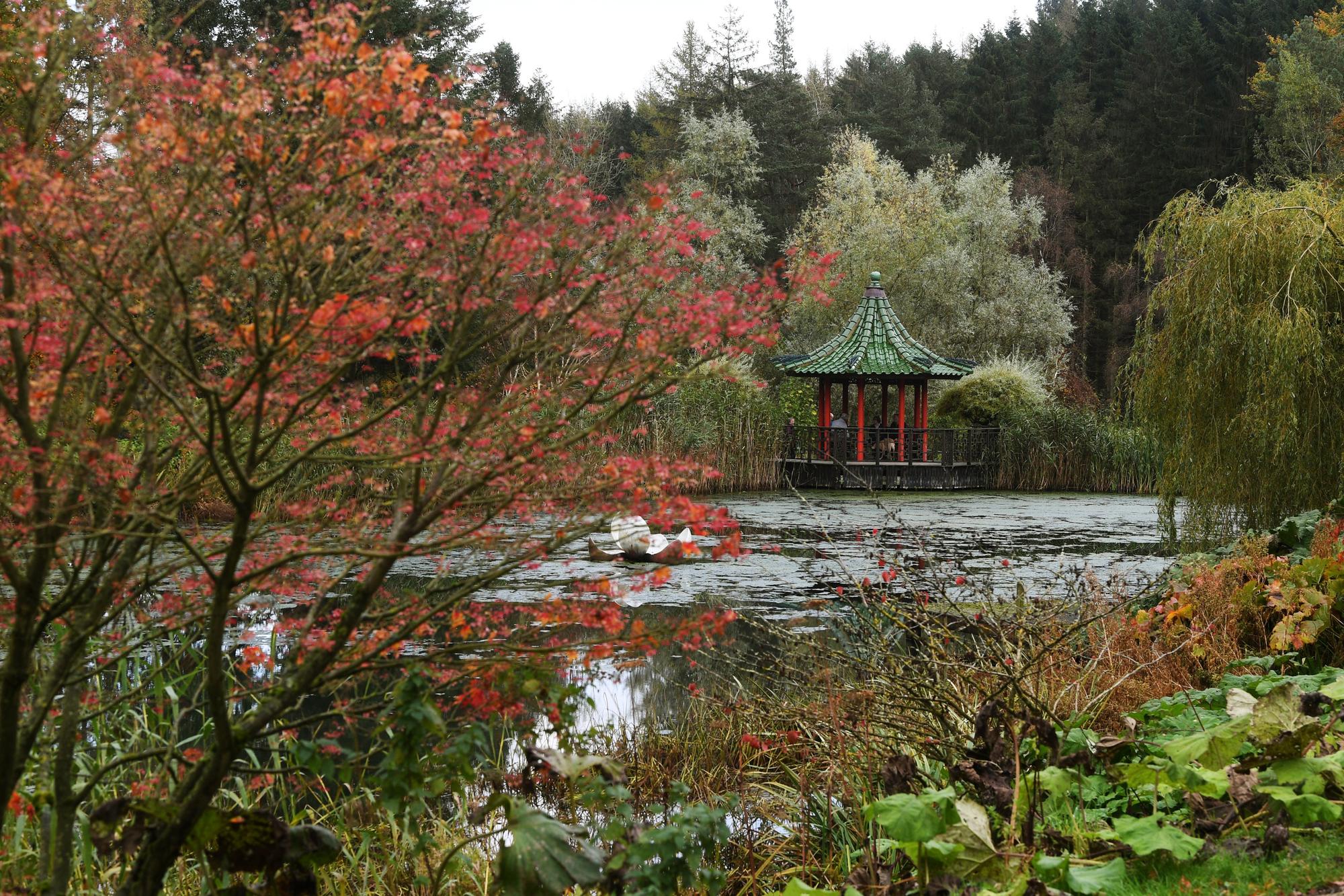 'I lived in the same village as this hidden Yorkshire gem - I didn't know it was there for years'