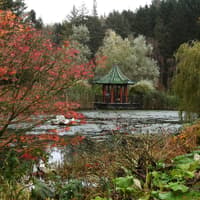 'I lived in the same village as this hidden Yorkshire gem - I didn't know it was there for years'