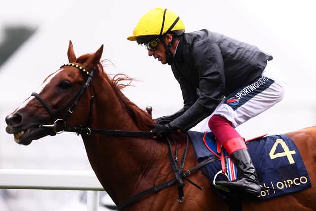Frankie Dettori on board Stradivarius who has been retired to stud. (Picture: Harry Trump/Getty Images)