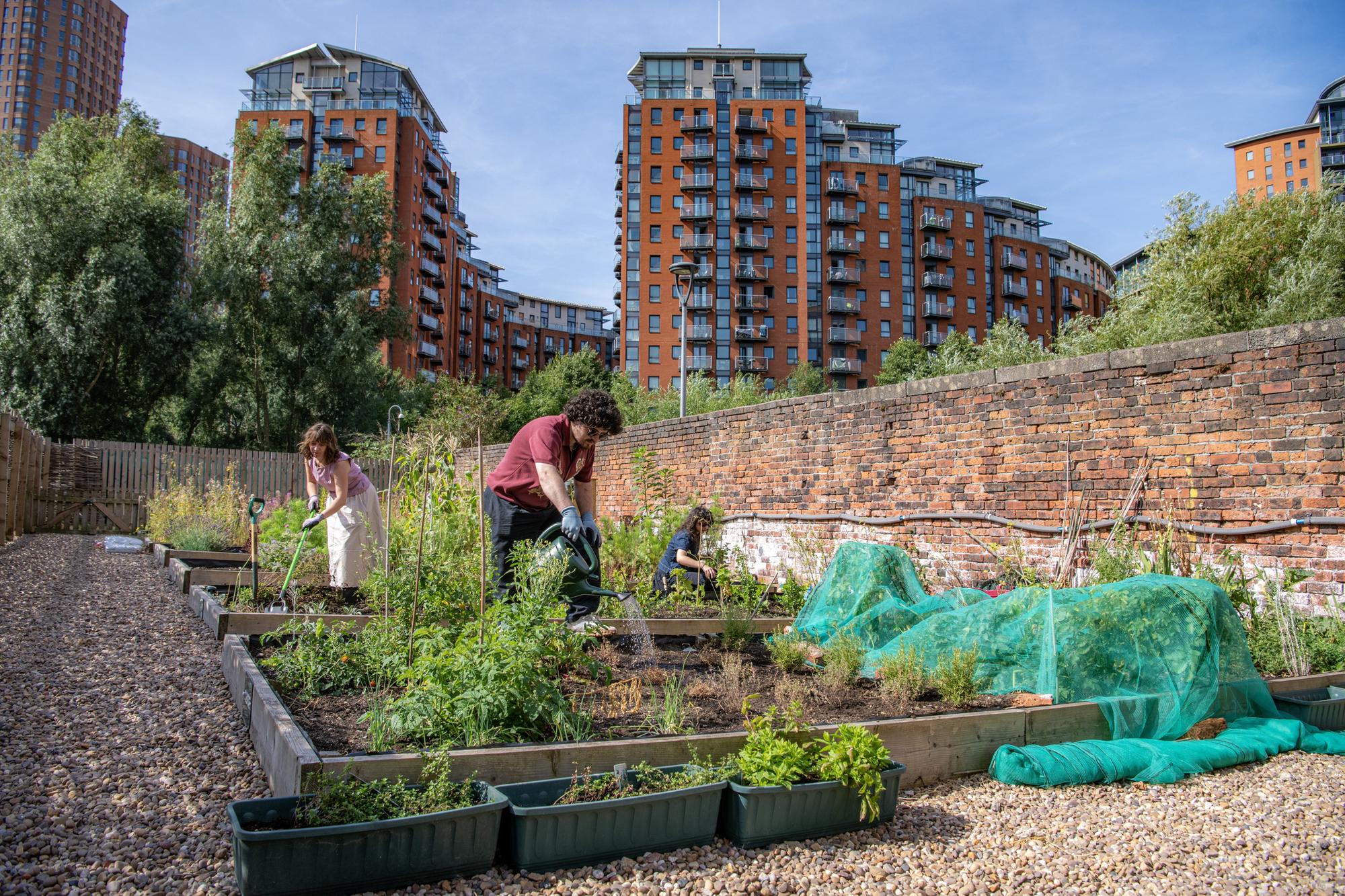'I visited an urban garden in the centre of Leeds with its own bee hives'