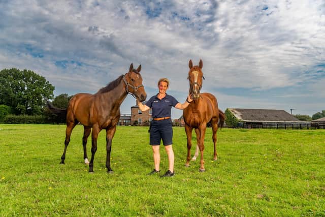 Bobby’s job: Trainer Ruth Carr, with her horses Daytona Lady (left) and Rockin Rosa, sends Bobby Joe Leg to Newcastle in search of a fifth successive win on Tuesday.
Picture: James Hardisty