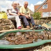 Philip Garner,67, and his wife Julia,66, from Castleford in West Yorkshire, hand reared an abandoned duck they named Freda who then 18 months later brought her 11 ducklings back to be born under the lavender bush.