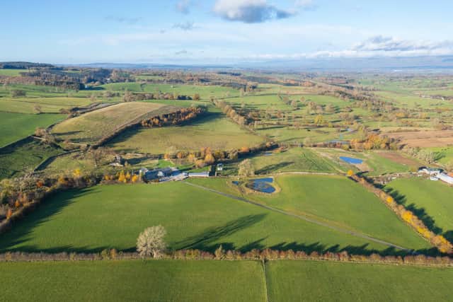 Crake Trees Manor Farm on the edge of The Yorkshire Dales National Park is for sale and presents a work and lifestyle opportunity to purchasers.