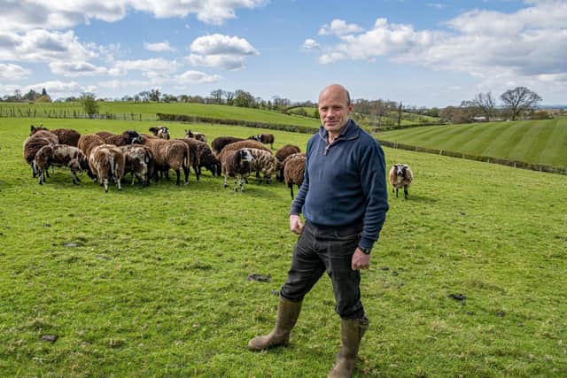 Raymond Heigh with his Zwartbles flock on the family farm in Bentham, North Yorkshire.