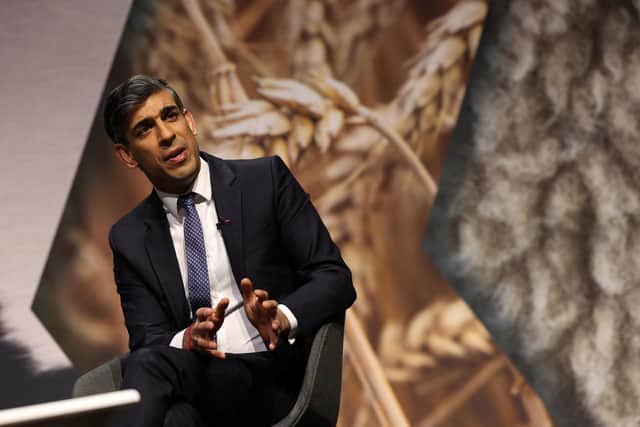 Prime Minister Rishi Sunak speaking during the National Farmers' Union annual conference. PIC: Adrian Dennis/PA Wire