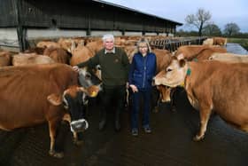 David Shaw and his daughter Helen Stanier at Grey Leys Farm, with some of the Jersey herd.