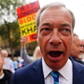 'The likely sight of Nigel Farage selling himself on I’m a Celebrity… Get Me Out of Here! will be an exercise in bear baiting.' PIC: Victoria Jones/PA Wire