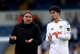 UNDER PRESSURE: Leeds United manager Daniel Farke (left) with Pascal Struijk (Image: Stu Forster/Getty Images)
