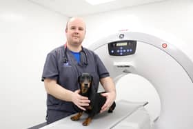 Fraser Reddick, a senior vet at Chantry Vets, with Nellie and the CT scanner which was used to determine the extent of her internal injuries following a 40ft cliff fall. Photo: © Chantry Vet