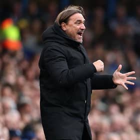 DISAPPOINTED: Leeds United manager Daniel Farke (Image: Michael Steele/Getty Images)