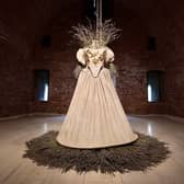 Thought-provoking: The Plague Dress is the centrepiece of the exhibition by the renowned artist Anna Dumitriu