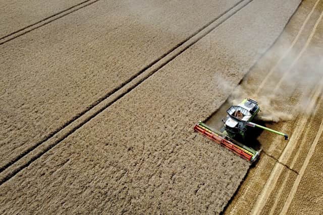 A combine harvester gathers in a crop of corn as farmers continue to dodge rain showers over the summer period. Picture date: Monday August 7, 2023. PA Photo. Photo credit should read: Gareth Fuller/PA Wire