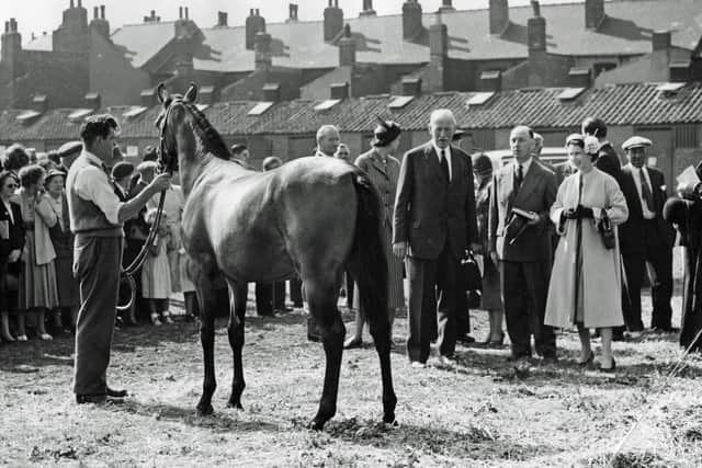 The Queen attending the Doncaster Bloodstock Sales in 1955, where she met the manager of the Burton Agnes stud in East Yorkshire to view yearlings
