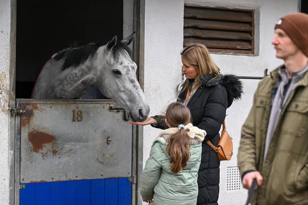 Meeting the horses at Middleham