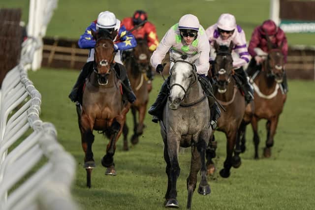 Strong chance: Jockey Paul Townend has the chance of a quick double when Willie Mullins' odds-on favourite Lossiemouth (pink) runs in the Close Brothers' Mares' Hurdle straight after the Champion Hurdle.Alan Crowhurst/Getty Images)