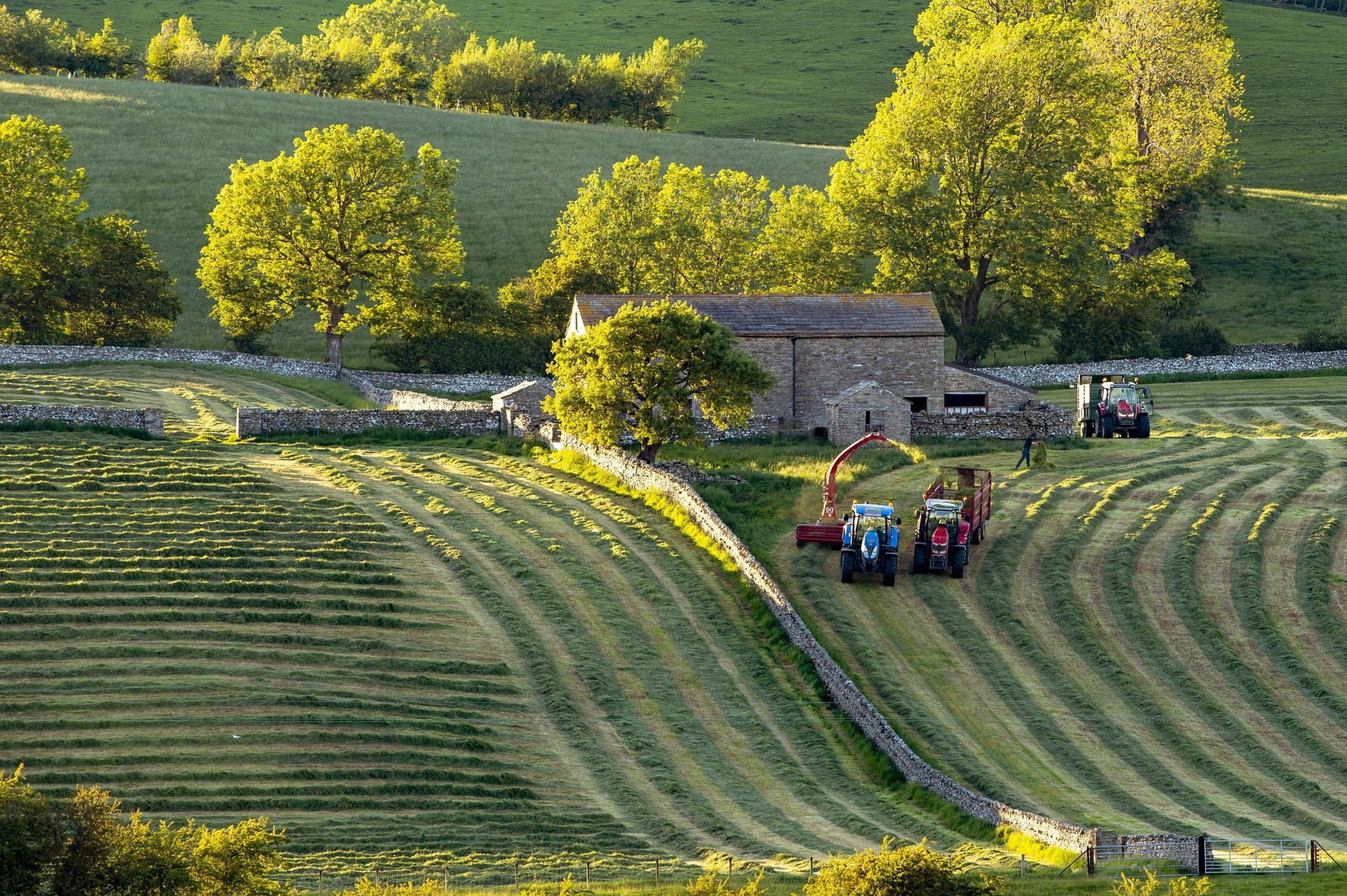 New nature investment standards can help win the confidence of farmers - Glyn Jones - Vimarsana News