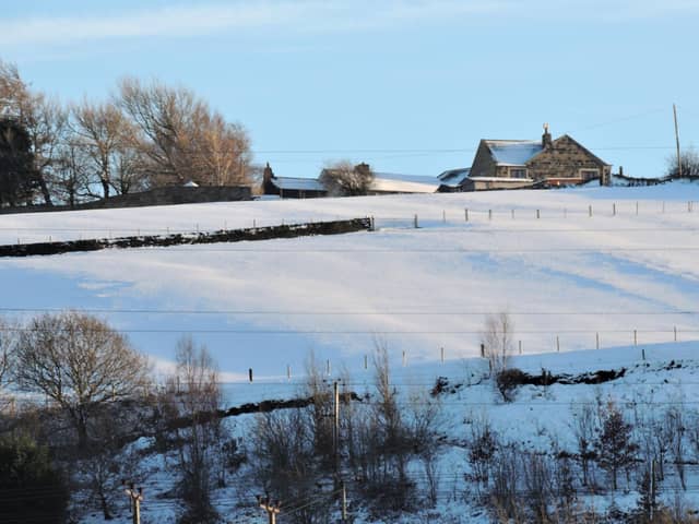 Snow settled on the hills, pasting the valley in cold folds of unbroken white.