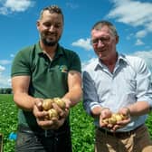Graham Banister, GB Potatoes, and Ed Backhouse, Greenhall Farm, looking over potato crops.