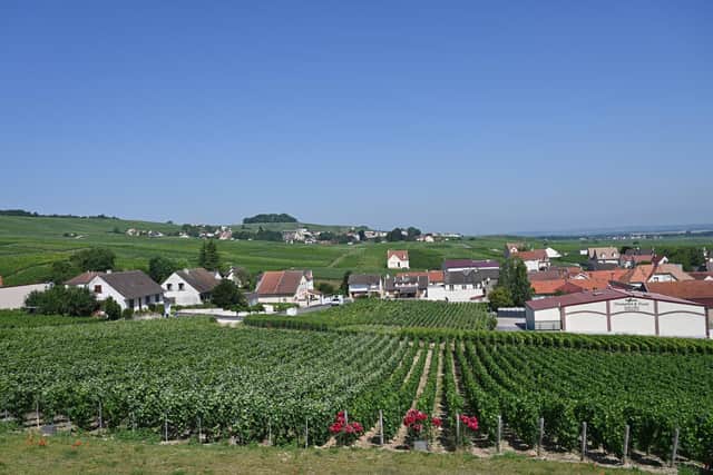 Learn about the taste and terroir of Champagne at a two-day course at The Yorkshire Wine School