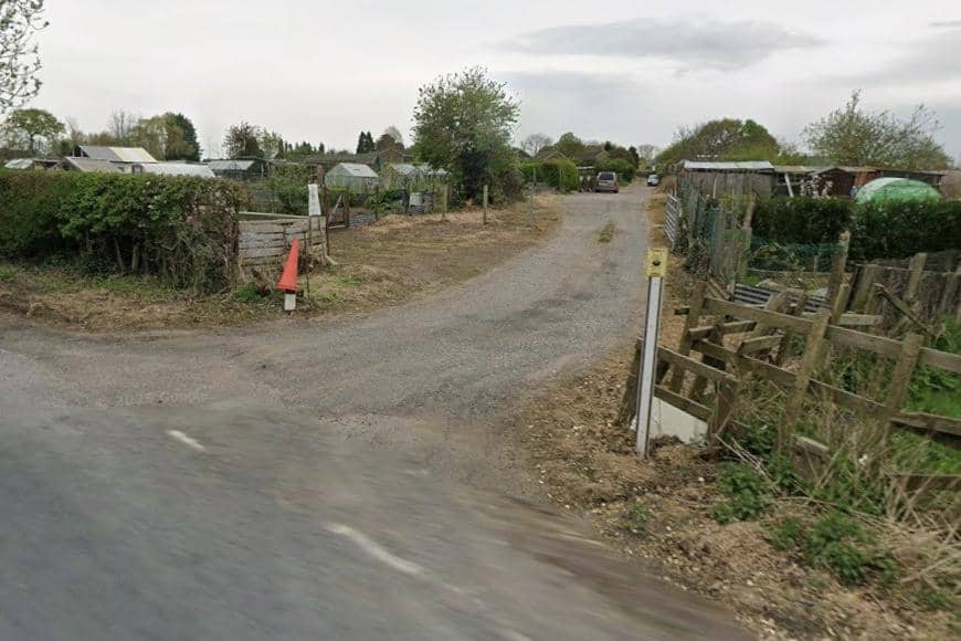 The allotments in Great Ayton