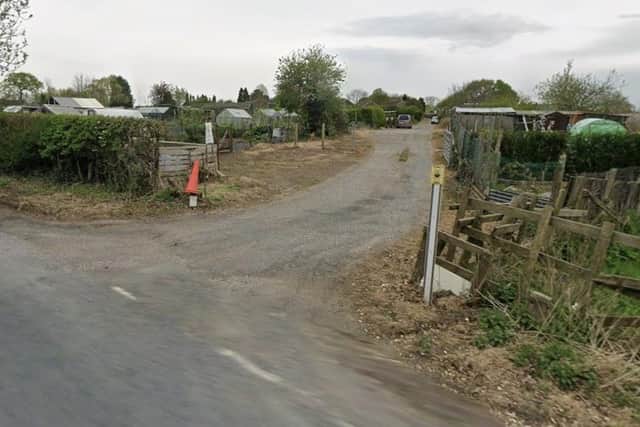 The allotments in Great Ayton