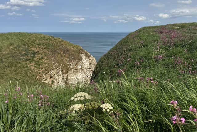 Bempton Cliffs where you can sometimes spot puffins