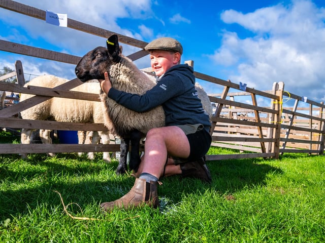 Pictured Arthur Wallbank, aged 8, Oxenhope, with a Suffolk Sheep. Picture: James Hardisty. Date: 5th September 2026.