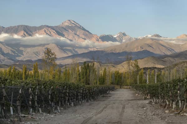The Uco Valley, Argentina, where warm days and col nights produce wonderful wines