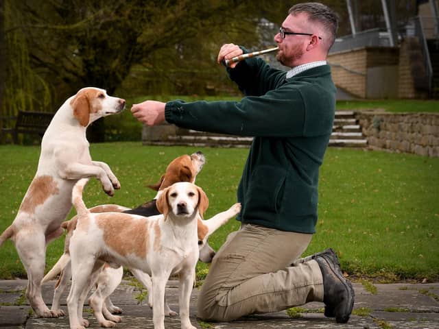 Springtime Live at the Great Yorkshire Showground, Harrogate. Barney Murphy from Holme and Colne Valley Beagles pictured at the event. Picture taken by Yorkshire Post Photographer Simon Hulme 1st April 2023