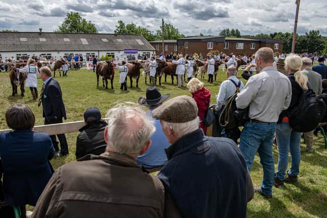 Visitors watch the judging of the Beef Shorthorns on the first day of the Great Yorkshire Show. (Pic credit: Tony Johnson)