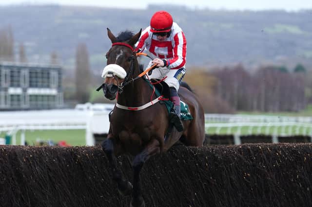 HIGH HOPES: Patrick Neville is not giving up his Gold Cup dream with The Real Whacker after seeing his stable star fill the runner-up spot in Saturday's Cotswold Chase. Picture: David Davies/PA