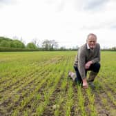 John Holtby with his winter wheat crop at Dowthorpe Hall at Skirlaugh near Beverley, photographed by Tony Johnson for the Yorkshire Post.