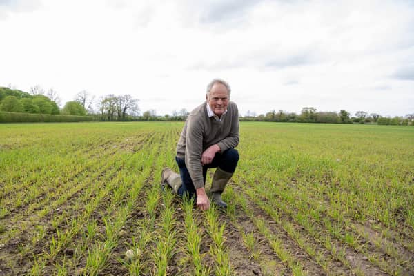John Holtby with his winter wheat crop at Dowthorpe Hall at Skirlaugh near Beverley, photographed by Tony Johnson for the Yorkshire Post.