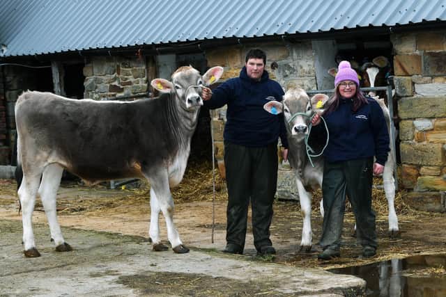 John and Alison Stevenson from Blue House Farm, Liverton, near Salturn. Pictured with their Brown Swiss.