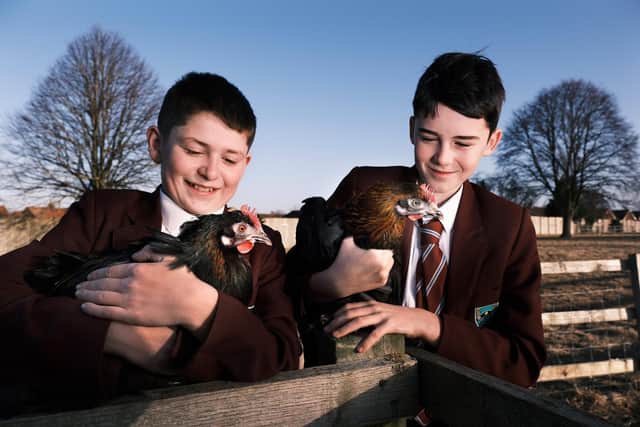 Pupils Joe and Harry with the farms chickens