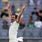 Quids in: Mitchell Starc, the former Yorkshire pace bowler, is celebrating a record IPL deal. Photo by Will Russell/Getty Images.