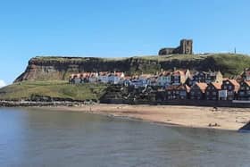 Councillors are set to vote on a contentious motion calling for an end to “major private housing developments” in Whitby.