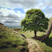 Sycamore Gap and Robin Hood's tree  on Hadrians Wall on a sunny day in Northumbria
