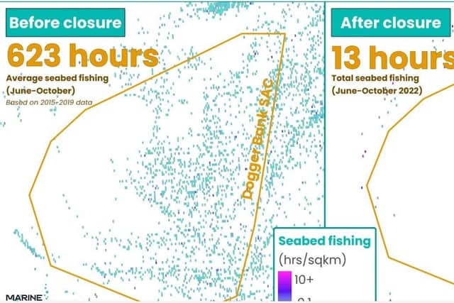 Analysis by the Marine Conservation Society shows a huge drop in damaging fishing activity since a ban was enforced