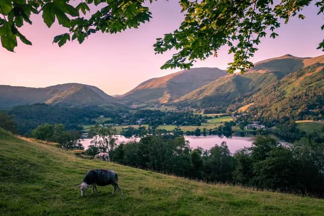 The beautiful Lake District is expected to be a big favourite of staycaytioners this summer