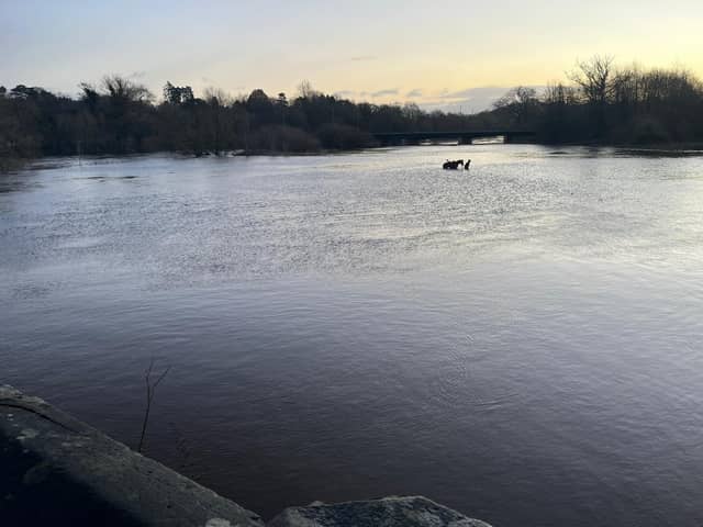 The horse statue in the flooded River Ure
