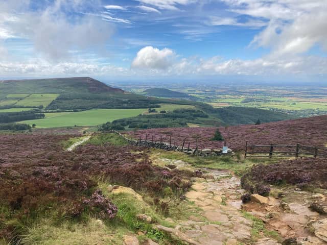 The North York Moors National Park Picture: Chloe Minting