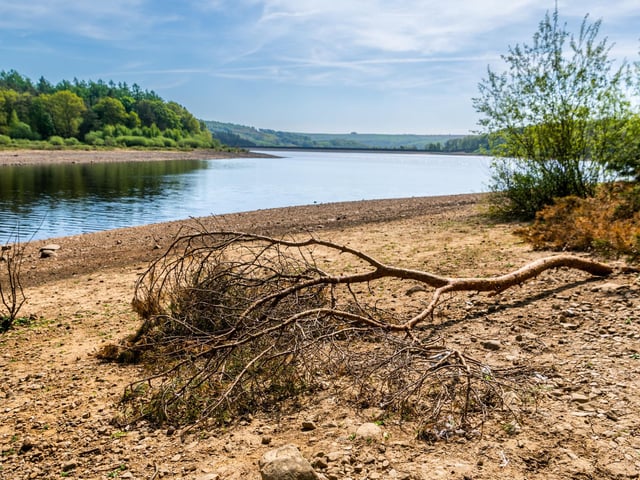 Swinsty Reservoir, in the beautiful Washburn Valley near Otley and Harrogate, has seen a big drop in water levels after weeks of dry weather. Picture: James Hardisty.