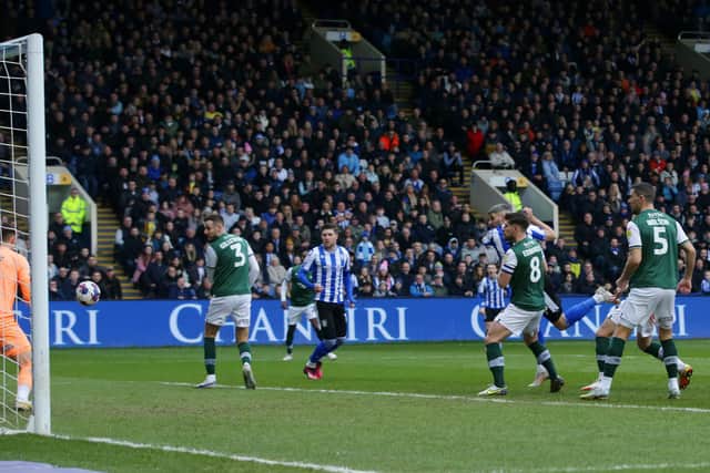 Sheffield Wednesday's Callum Paterson scores against Plymouth Argyle during the Sky Bet League One match at Hillsborough Stadium, Sheffield. Picture: Ian Hodgson/PA Wire