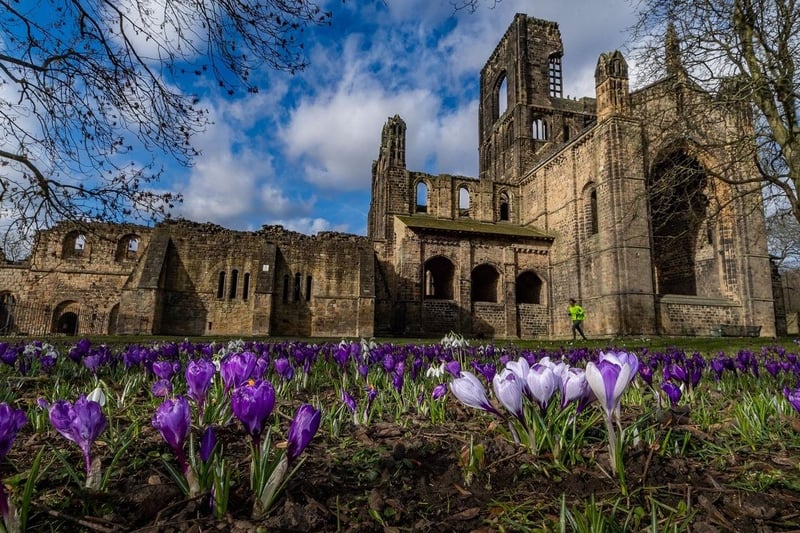 Kirkstall Abbey was founded in 1152 by Henry de Lacy, baron of Pontefract, who was one of the top landowners in the north. It gained its wealth by keeping sheep during the wool trade and the abbey was disestablished 388 years after it was built.