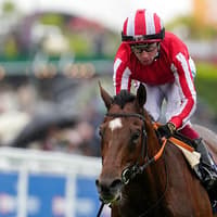 'One of the best' - Ambitious Yorkshire-based Bond Thoroughbred sign up former champion jockey