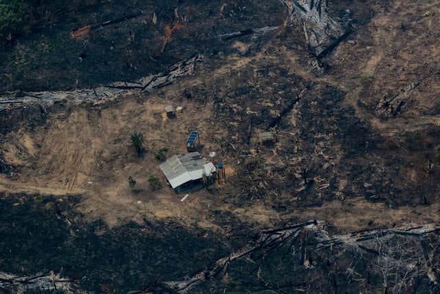 Aerial view showing deforestation activity in the Amazon basin on August 24, 2019. PIC: LULA SAMPAIO/AFP/Getty Images